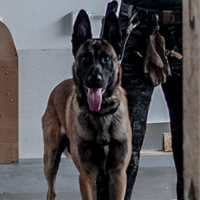 JAX